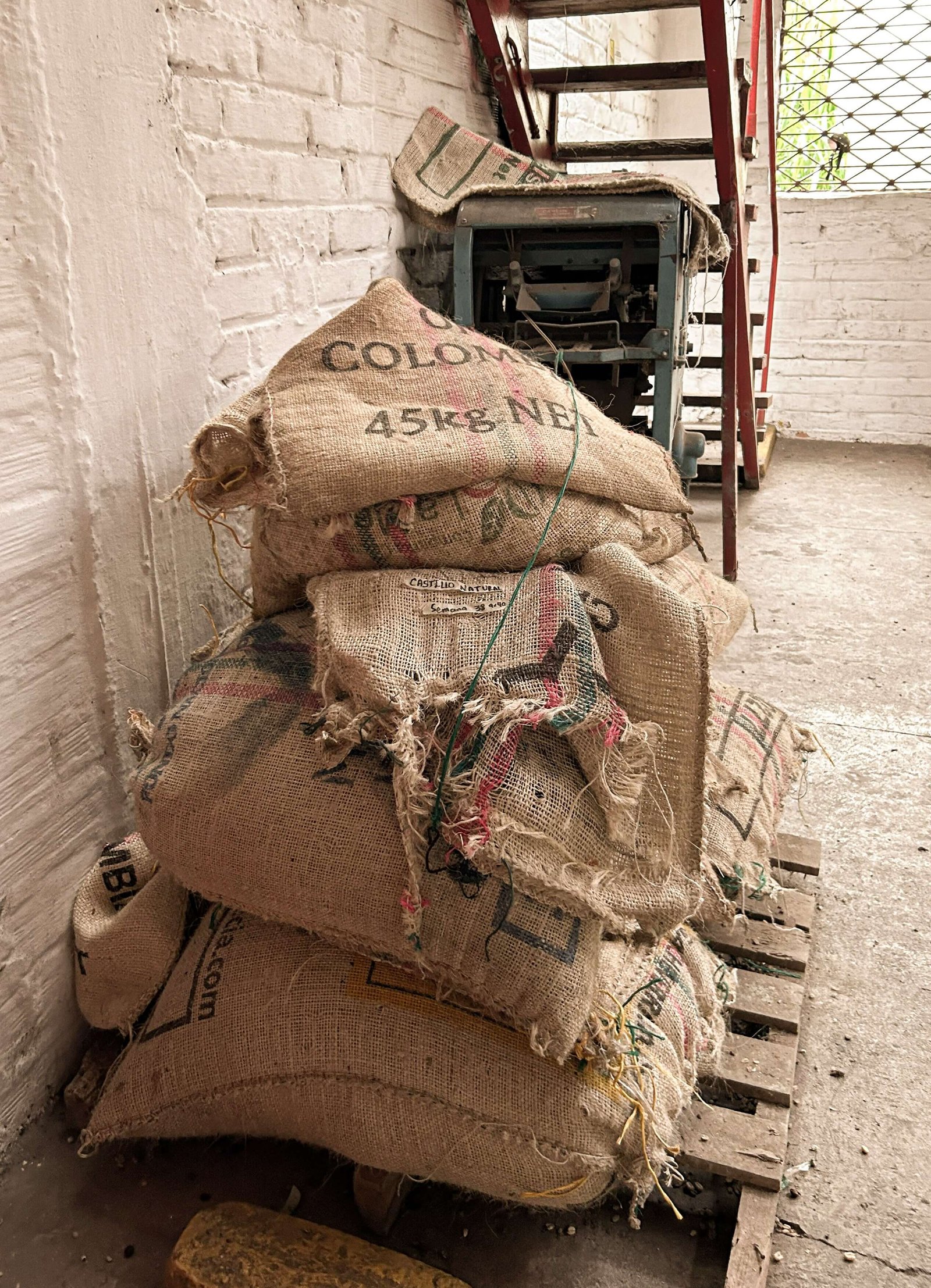 Café de Alta Montaña de Colombia